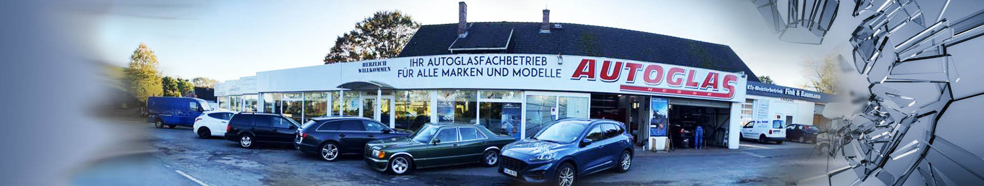 Autoglas Nesse